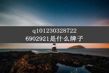 q1012303287226902921是什么牌子