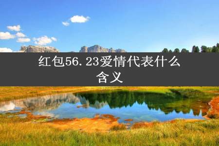 红包56.23爱情代表什么含义