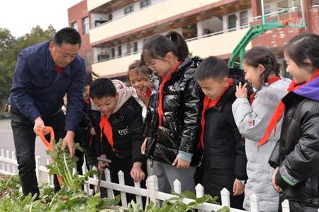 织里晟舍小学怎么样