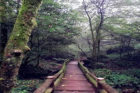 青城山后山朋友圈怎么发