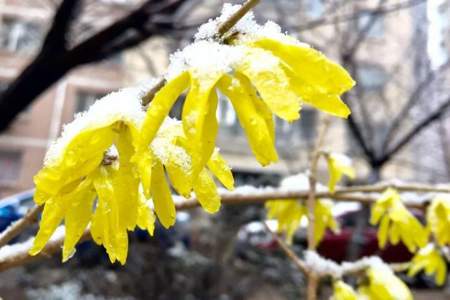 4月份末下雪意味着什么