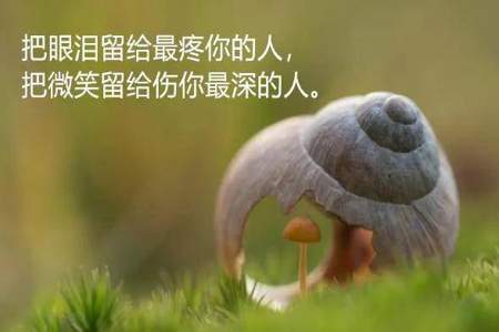 明知道开口会让他人难做怎么发朋友圈