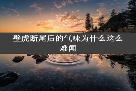 壁虎断尾后的气味为什么这么难闻