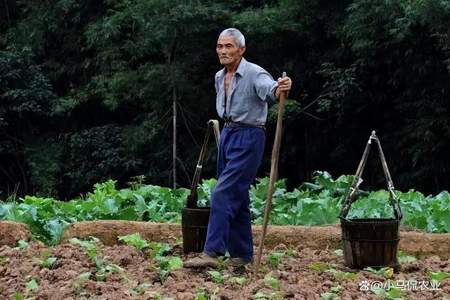 为什么谁能干活就到谁那里去