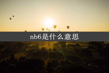 nb6是什么意思