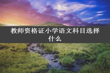 教师资格证小学语文科目选择什么