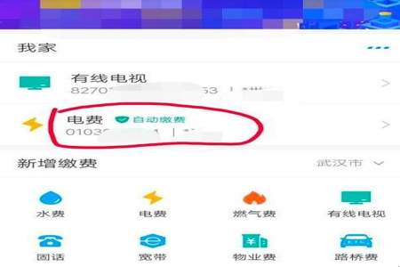 怎么查自己家电费一个月多少