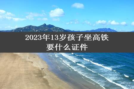 2023年13岁孩子坐高铁要什么证件