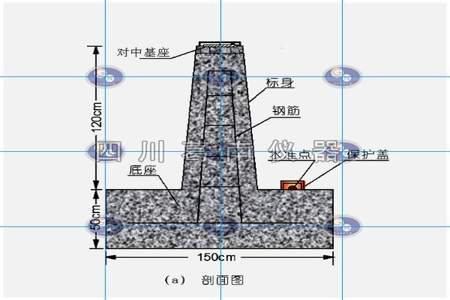 觇。是什么意思