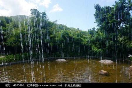 不仅雨中的树林是童话世界雨中的很多地方也是童话世界你在雨中还发现了什么神奇的事情照样子写一写