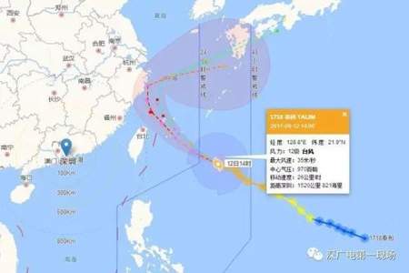 网络用语杜苏芮是什么意思