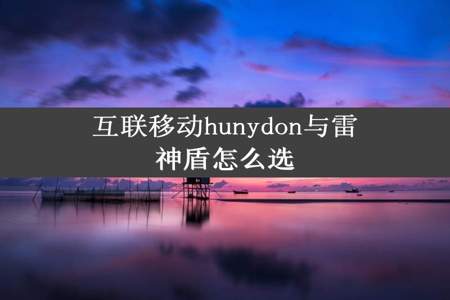 互联移动hunydon与雷神盾怎么选