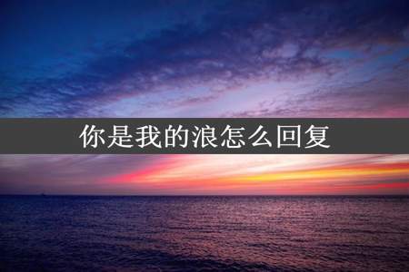 你是我的浪怎么回复