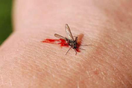 蚊子放在注射器里怎么加压