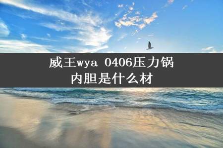 威王wya 0406压力锅内胆是什么材