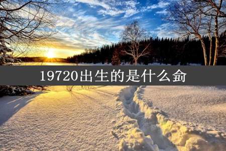 19720出生的是什么侴