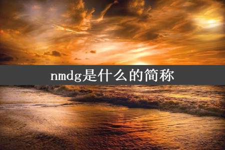 nmdg是什么的简称