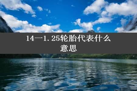 14一1.25轮胎代表什么意思