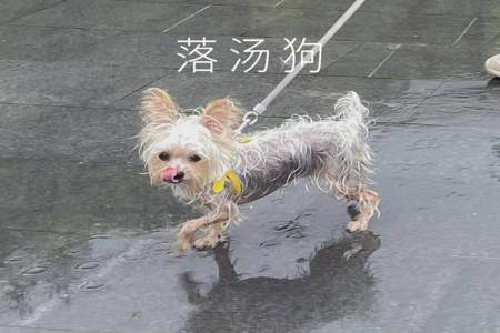 女生说雨没停过怎么回答