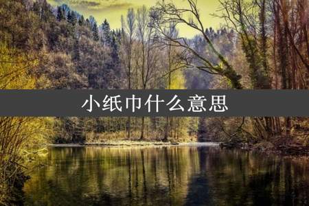 小纸巾什么意思