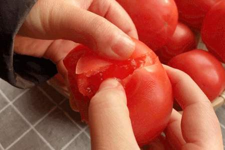 西红柿为什么很久都不熟了