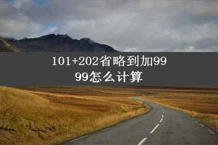 101+202省略到加9999怎么计算