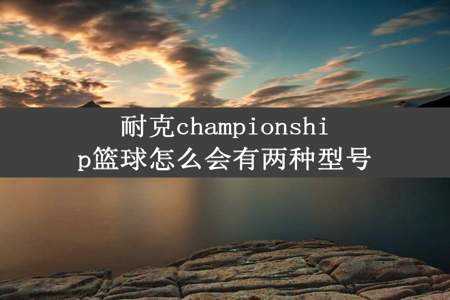 耐克championship篮球怎么会有两种型号