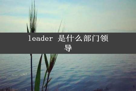 leader 是什么部门领导