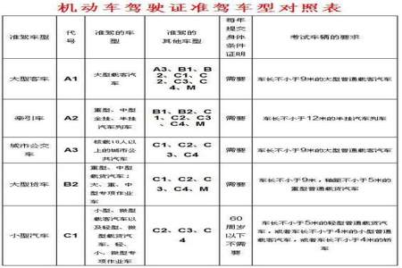 c1驾照如何升级b1能开什么车