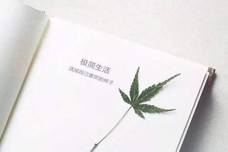 怎么放下心情做事