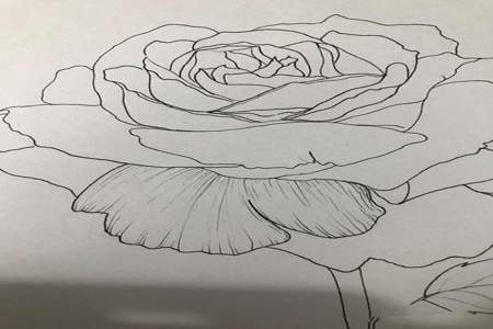 用素描纸怎么做一束花
