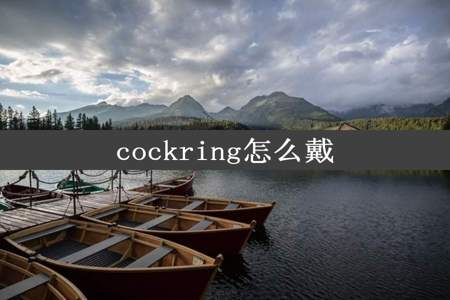 cockring怎么戴