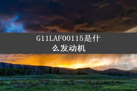 G11LAF00115是什么发动机