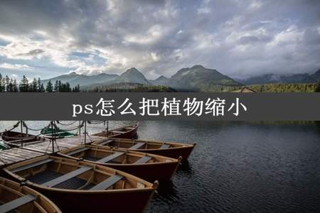 ps怎么把植物缩小