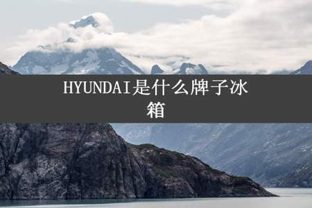 HYUNDAI是什么牌子冰箱