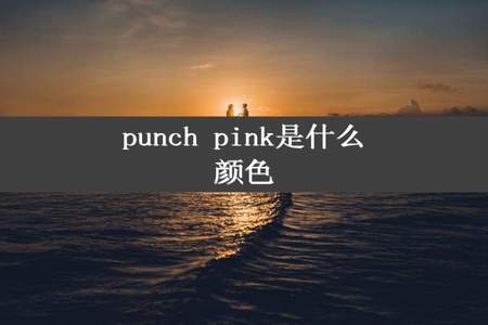 punch pink是什么颜色