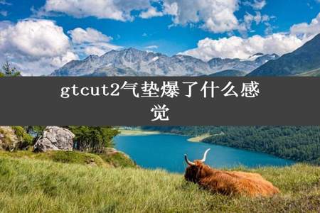 gtcut2气垫爆了什么感觉