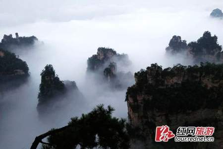 武陵源景区下雨天怎么玩