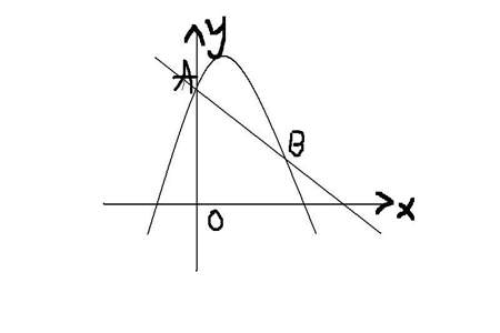 y=x²在坐标系中的形状是一条什么线