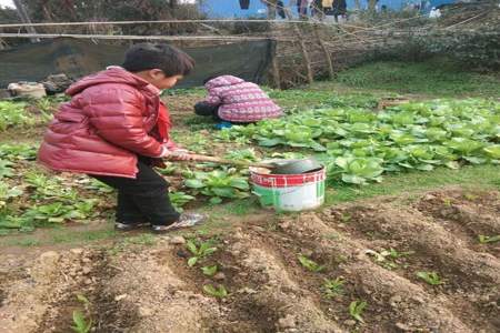 熙春快递食盒没了怎么办