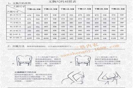 胸围95是多大是指什么