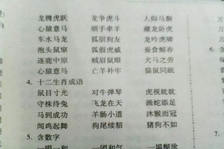 什么望远四字成语