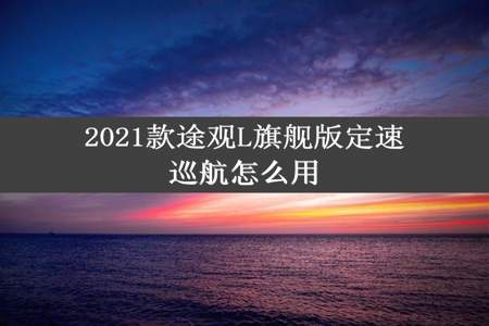 2021款途观L旗舰版定速巡航怎么用