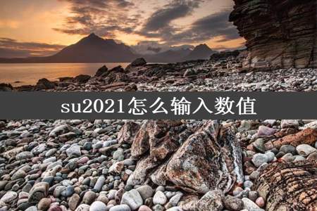 su2021怎么输入数值