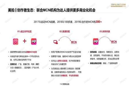 公司领导所属机构mcn怎么填