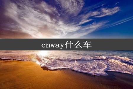 cnway什么车