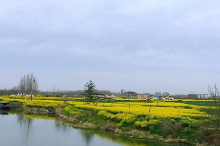 回忆了两段时间的童年风景这两段时间什么什么这两片风景什么什么