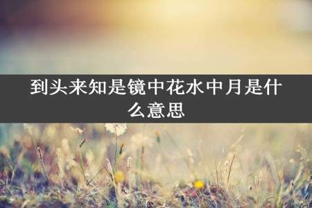 到头来知是镜中花水中月是什么意思