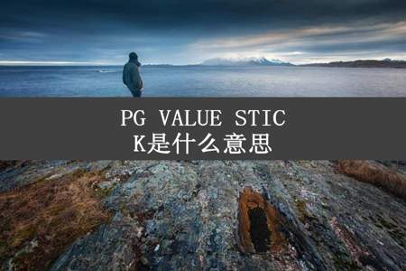 PG VALUE STICK是什么意思