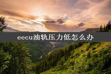 eecu油轨压力低怎么办